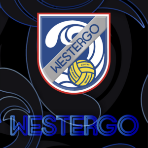WSG Westergo diapolo microveel handdoek